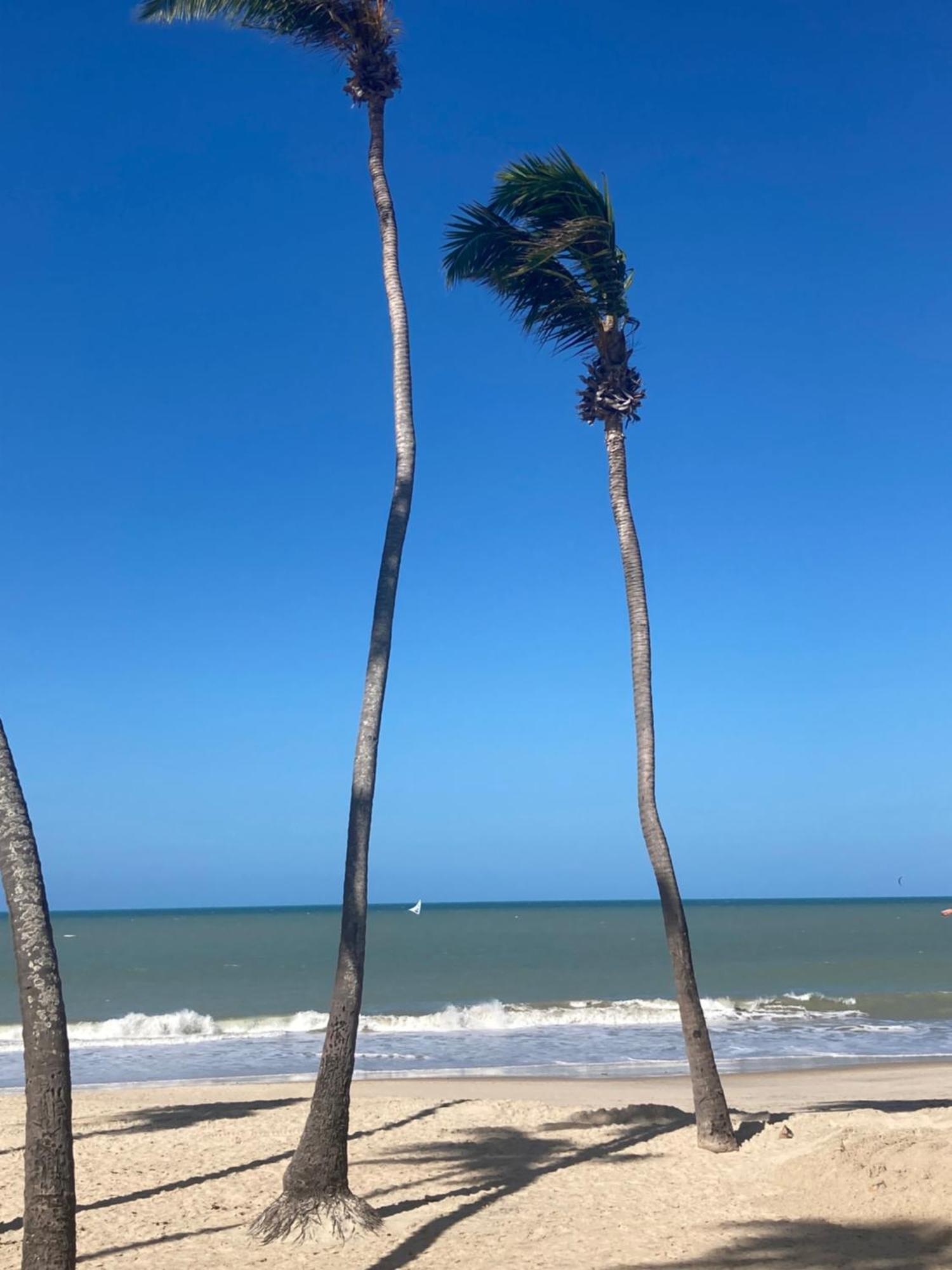Eco Paradise Cumbuco pé na areia 202 Esterno foto