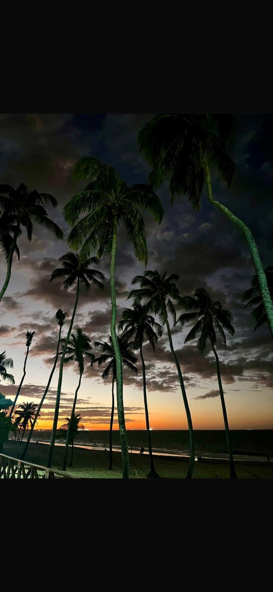 Eco Paradise Cumbuco pé na areia 202 Esterno foto
